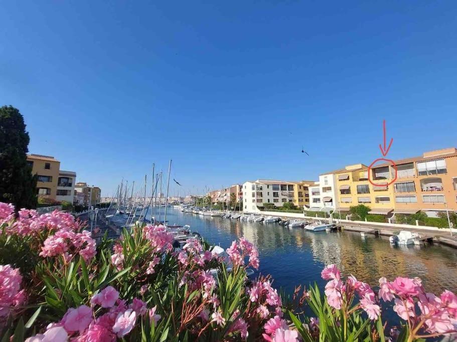 Cap'Nomad Studio Cote Mer - Balcon - Piscine - Parking Agde Buitenkant foto
